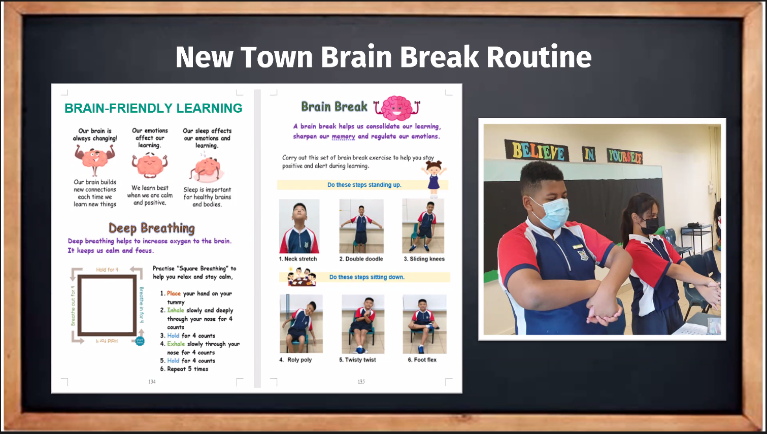 Using a Neuroscientific Lens to Support Student Learning and Well-Being ...